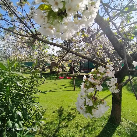 B&B La Magnolia Fano-2